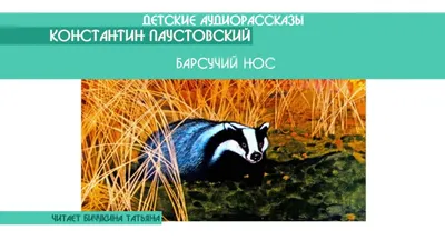 Барсучий нос Паустовский Константин Георгиевич, цена — 84 р., купить книгу  в интернет-магазине