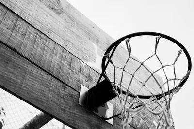 Баскетбол картинки черно белые - 77 фото