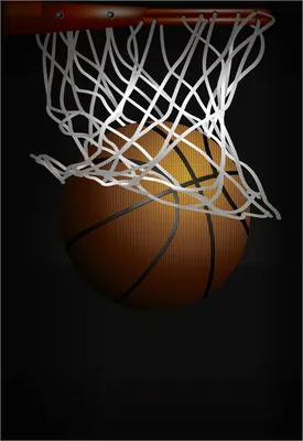 Баскетбол Спорт, баскетбол, спорт, черный png | PNGEgg