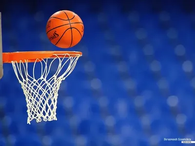 Картина \"Мяч для игры в баскетбол \" | Интернет-магазин картин \"АртФактор\"