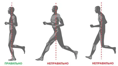 Почему бег — худший способ похудеть? | Sobaka.ru