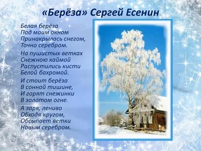 Цитаты из книги «Белая береза под моим окном…» Сергея Есенина – Литрес