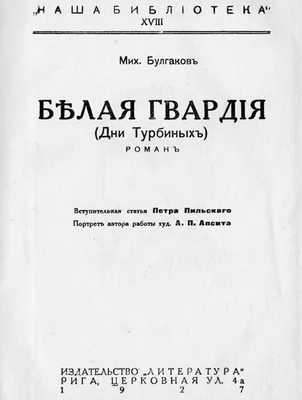 Акация белая 7 лет 1,8-2,0 метра