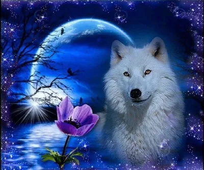 Белая волчица (63 фото) - красивые фото и картинки pofoto.club