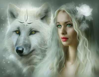 Белая волчица с голубыми глазами арт - 35 фото