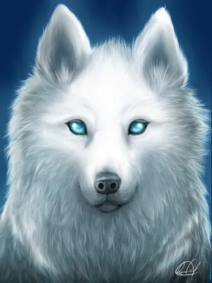 Привет всем - Белая волчица ждёт своего волченка,... | Facebook