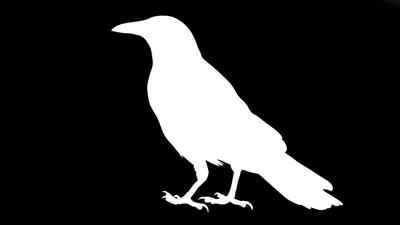 Белая ворона» — создано в Шедевруме