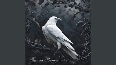 Белая ворона - YouTube