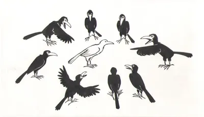 Графическая черно-белая ворона изолированная на белой предпосылке Старая и  мудрая птица Характер хеллоуина ворона Иллюстрация вектора - иллюстрации  насчитывающей элемент, зло: 123842477