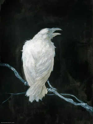 Иллюстрация Белая ворона в стиле персонажи | Illustrators.ru