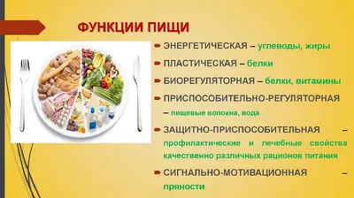 Спорт Знаток - БЖУ в картинках Белки 🥚 Жиры 🥑 Углеводы 🥐... | Facebook