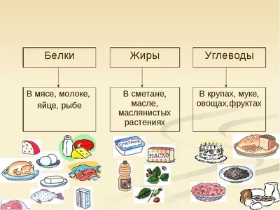 Белки, жиры, углеводы: правильное соотношение БЖУ | EVA Blog