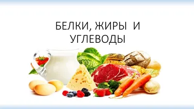 Белки, жиры и углеводы, простыми словами | Пикабу