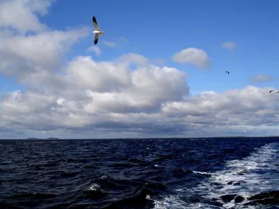 Жесткое белое море. Холодный летний день на Yagry финских острова Стоковое  Изображение - изображение насчитывающей лето, волны: 183544131