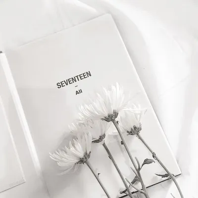 white #белый #aesthetic #эстетика #обои #flowers #books #книги #цветы  #wallpaper #foundalighter | Картинки подсолнечника, Эстетика, Оттенки белого