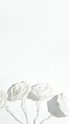 White Aesthetic Backgrounds | ManyBackgrounds.com