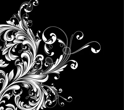 Цветы Стрекоза И Контур Листьев Рисунок Белым Цветом На Черном Фоне Шаблон  Всеохватывающее — стоковая векторная графика и другие изображения на тему  Аквилегия - iStock