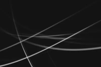 Чёрно- белые цветы на черном фоне Стоковое Изображение - изображение  насчитывающей фотоснимок, промахов: 198219915