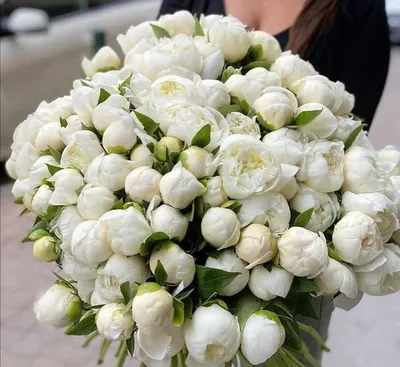 Белые тюльпаны в коробке от 51 шт. за 11 590 руб. | Бесплатная доставка  цветов по Москве