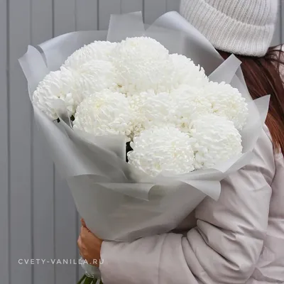 Букет крупных белых хризантем с Доставкой по Выгодной Цене в Краснодаре