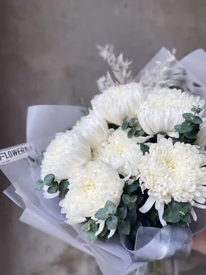 Белые хризантемы с эвкалиптом и рускусом - купить в Москве | Flowerna
