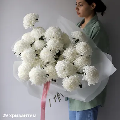 Белые хризантемы. Фотограф Наталия Тихомирова