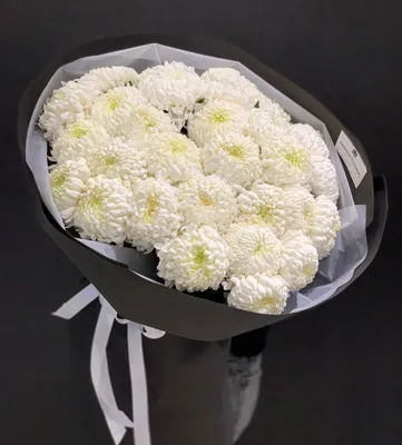 Букет из 9 белых кустовых хризантем купить недорого с доставкой в Челябинске
