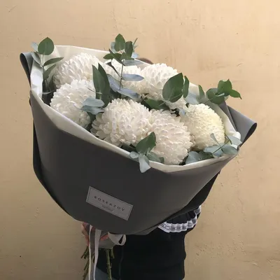 Белые хризантемы купить в Москве ✿ Заказать белые хризантемы с доставкой