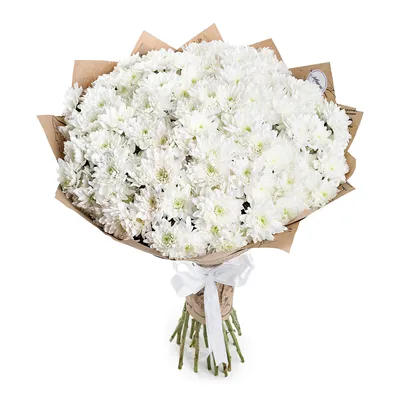 Букет из 7 белых кустовых хризантем купить недорого с доставкой в Челябинске