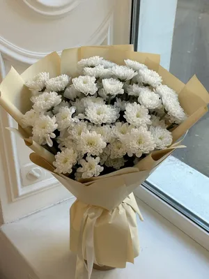 Белые хризантемы, артикул F1204311 - 3300 рублей, доставка по городу.  Flawery - доставка цветов в Иркутске