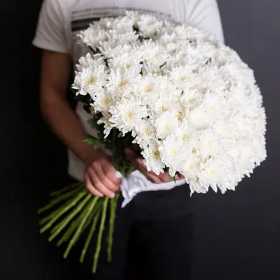 Белые хризантемы 3 шт. купить за 600 руб. в Пензе с доставкой