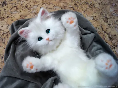 Милые белые котята сидят в уютной …» — создано в Шедевруме