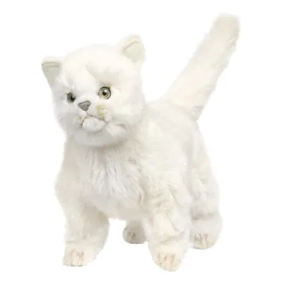 Белый кот с голубыми глазами - 76 фото