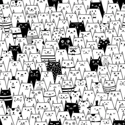 Кот в смокинге - интересные факты про черно-белых котов - фото