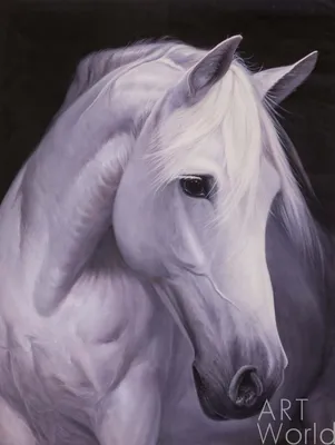 Картина маслом \"Портрет белой лошади\" 75x100 SK200501 купить в Москве