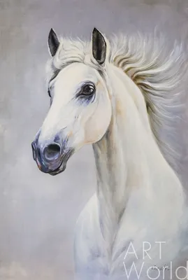 Существуют ли белые лошади? Можно ли ждать принца на белом коне? | Лошади |  Дзен