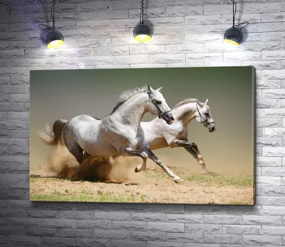 Картина Белые лошади. Размеры: 70x70, Год: 2022, Цена: 39000 рублей  Художник Островская Елизавета