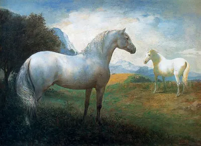 Черные и белые лошади