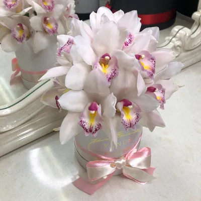 15 белых орхидей в коробке за 5 890 руб. | Бесплатная доставка цветов по  Москве