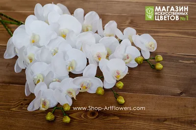 Букет из белых орхидей (13 шт) за 4990р. Позиция № 1750