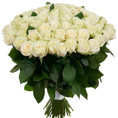 75 длинных белых роз, шикарный белый букет | доставка по Москве и области |  Roza4u.ru