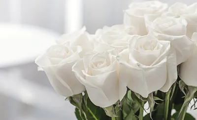 Купить белые розы в Щёлково с доставкой|Букет из 17 белых роз - LILIUM