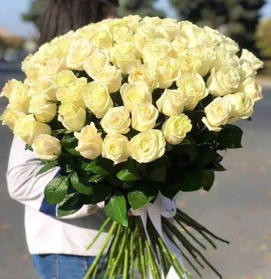 Белые розы Аваланш 60 см поштучно от 75 руб./шт. Купить цветы.