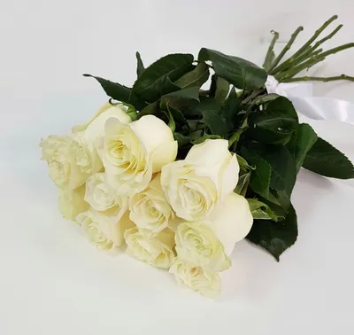 Купить букет из 3 белых роз в Пензе, импортные розы