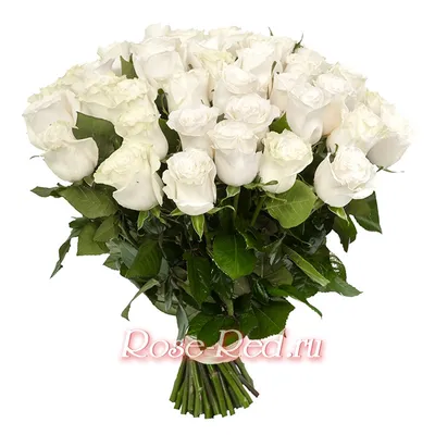 Элитные белые розы: цена, заказать с доставкой по Москве в  интернет-магазине Cyber Flora®
