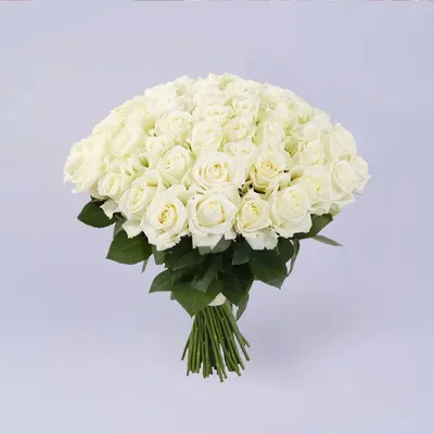 Белые с окантовкой от 41 шт. за 10 790 руб. | Бесплатная доставка цветов по  Москве