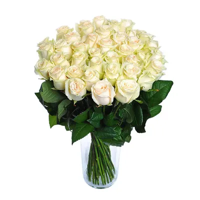 Белые Розы 60 см | купить недорого | доставка по Москве и области