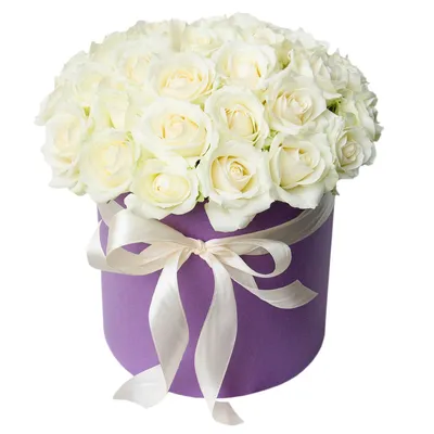 Элитные белые розы: цена, заказать с доставкой по Великом Устюге в  интернет-магазине Cyber Flora®
