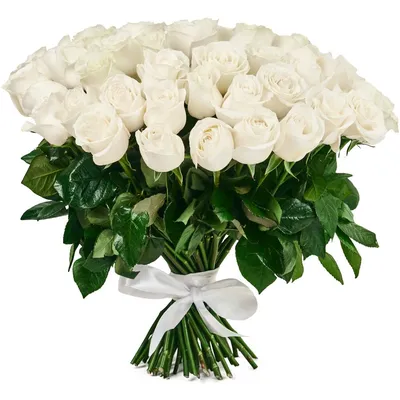 К чему дарят белые розы? Тайная символика белых роз
