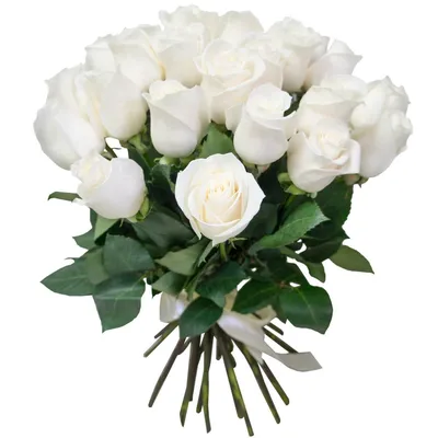 Белые розы - купить по выгодной цене | Цветочный магазин \"Оазис\"
